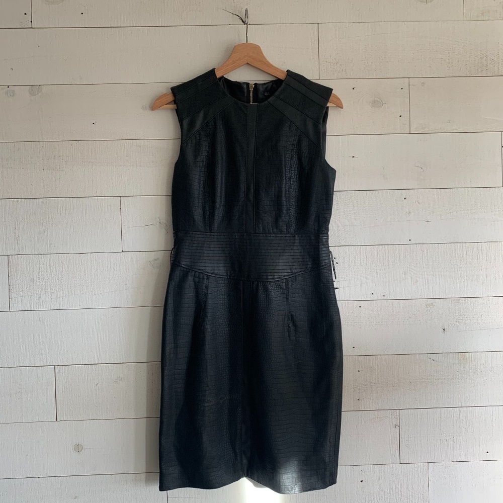 Sfera Faux Leather Dress